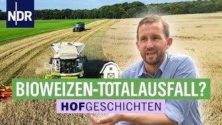 Totalausfall im Bioweizen  Hofgeschichten Leben auf dem Land 244  NDR [upl. by Ozneral]