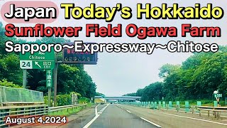 Today’s HokkaidoSunflower Field Ogawa FarmSapporo 〜Expressway〜ChitoseAugust 42024Japan [upl. by Nerradal803]