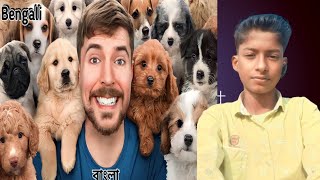 আমি 100টি কুকুর উদ্ধার করেছিI Rescued 100 Abandoned Dogsmrbeast new video bangla [upl. by Nabalas779]