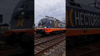 FLIXTRAIN HECTORRAIL flixtrain hectorrail siemens zug kolej [upl. by Etnecniv]