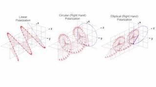 Linear Circular and Elliptical Polarization Animation in a Single Shot [upl. by Aihsetal]