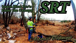 Arborist Tree Climbing SRT How To 2022 [upl. by Ajram]