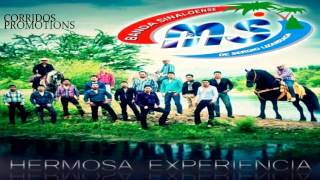 Banda Sinaloense MS de Sergio Lizarraga  Hermosa Experencia Single 2013 [upl. by Deadman]