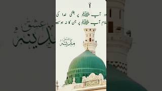 bahishti zavar islamiviralvideo hazrat muhmed sa pr drood ur slam [upl. by Darce980]