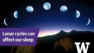 How phases of the moon can affect your sleep [upl. by Samoht]