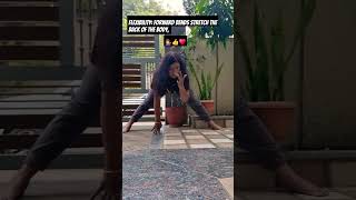 The yoga soul 👍♥️ shortsvideo yogaexcercise love yogateacher yogaforfithealth yogae youtube [upl. by Ardnued510]