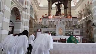 Transmissão ao vivo de Paróquia São Francisco de Assis Alagoinhas Bahia [upl. by Gibrian913]