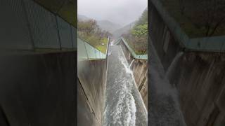 Heavy rain causes dam release and overflow shorts rain asmr [upl. by Siletotsira126]