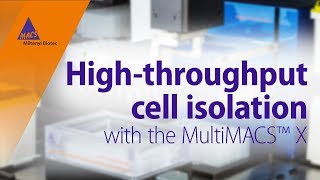 Automation meets cell separation Highthroughput cell isolation with the MultiMACS™ X [upl. by Suoivatram]