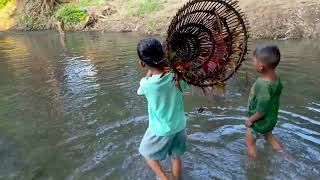 TECHNIQUES FISH TRAP BY BAMBOO  FISHING VIDEO IN SEASON 2024  FISH TRAPPING IN BAMBOO CAGE [upl. by Aissac]