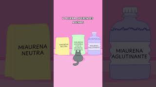 ¿Cómo evitar que tu gato orine fuera de su caja de arena 🚫🐱 gatos gato gatitos michi michis [upl. by Arbmik]