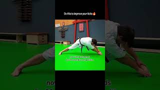 Martial Art Stretch Mobility Warm up Workout Part 2 by Dennis Kempo teakwando karate streching [upl. by Urana]