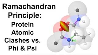 Ramachandran Principle Protein Atomic Clashes vs Phi amp Psi [upl. by Navanod]