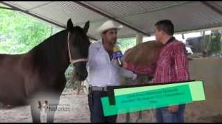 CABALGATA COLONIA CUAUHTÉMOC MATÍAS ROMERO OAXACA  COSECHANDO HISTORIAS [upl. by Ylevol]