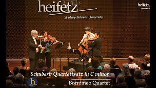 Schubert Quartettsatz in C Minor D 703  Borromeo Quartet [upl. by Elisha319]