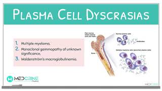 Plasma Cell DisordersDyscrasias  Multiple Myeloma Pathology Review [upl. by Aneehsor857]