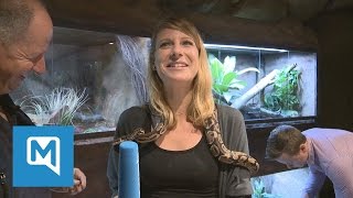 Vogelspinnen und Königspythons Das ist die neue Entdeckerhöhle im Münchner Tierpark Hellabrunn [upl. by Dnomso]