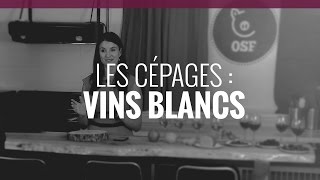 Les cépages vins blancs [upl. by Ahsikal422]