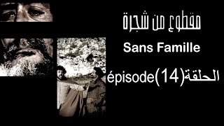 MA9TOU3 MEN CHAJARA SANS FAMILLE Épisode مقطوع من شجرة الحلقة 14 [upl. by Macy]