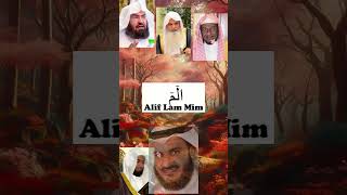 Alif Lam Mim 8 Imam Siapa Favoritmu  murottal murottalmerdu murottalquran [upl. by Sowell816]