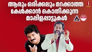 ആരും ഒരിക്കലും മറക്കാത്ത കേൾക്കാൻ കൊതിക്കുന്ന മാപ്പിളപ്പാട്ടുകൾ  Malayalam Old Mappilapattukal [upl. by Onaivatco]