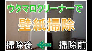 壁紙のお掃除 ウタマロクリーナーで20年の手垢汚れがスッキリ♪ [upl. by Krishna470]