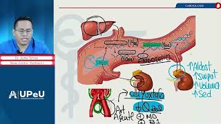 Farmacología II  Clase 2  Fármacos antihipertensivos [upl. by Rellia]