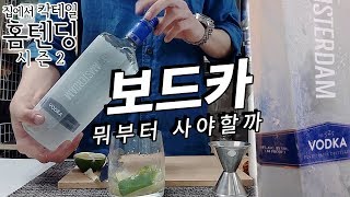 보드카VODKA 종류 별 집 앞 마트에서 최저가를 알아보자 [upl. by Farica]