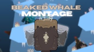 Beaked Whale Montage FtJinty deeeep io [upl. by Fionnula]