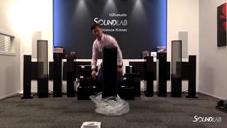 Paradigm Persona 3F Unboxing Floorstanding Speakers [upl. by Inahteb]