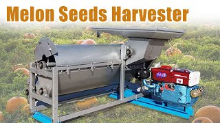 Efficient Melon Seeds Removal Machine Get Seeds in Seconds pumpkin pumpkinseeds seeds [upl. by Adnaerb854]