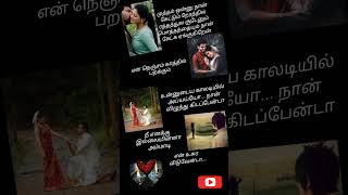 velli nilave song lyrics tamilsong songlyrics love trending shortsviral [upl. by Dier]