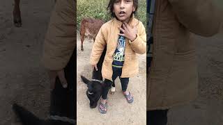 devaanshi Apne bacche ke sath khelte hue 🐄🐄🐄🐄🐄🐄🐄😘😘😘😘😋2 [upl. by Gnues]