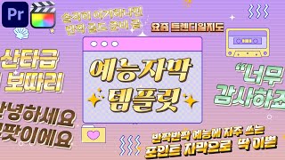 프리미어프로 반짝 반짝 예능 자막 템플릿  파이널컷프로 [upl. by Ettedualc39]