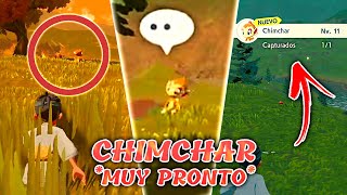 CÓMO CAPTURAR A CHIMCHAR MUY PRONTO EN LEYENDAS POKÉMON ARCEUS [upl. by Anitnauq986]