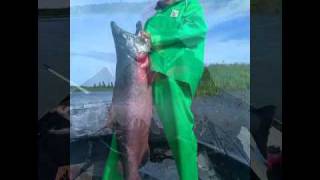 Fishing Alaska Kenai River with Fishology [upl. by Pirnot914]