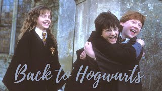 Back to Hogwarts 🚂  Harry Potter Movie Series my collection unboxing and more [upl. by Tingey]