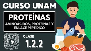 🌱 PROTEÍNAS  CURSO UNAM  Aminoácidos  Moléculas orgánicas  Fibrosas y complejas [upl. by Tat]