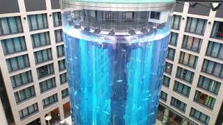 Aquarium im Radisson Blu Hotel BerlinMitte [upl. by Noiro]