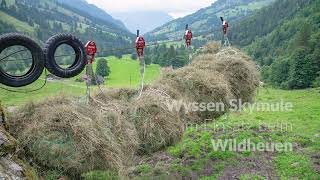 Wyssen Skymule Einsatz beim Wildheuen [upl. by Sigvard725]