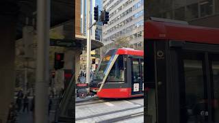 Alstom Citadis 305  Passing Queen Victoria Bldg L3 Kingsford Line Sydney Light Rail shorts [upl. by Judson418]