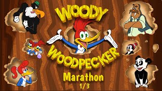 Woody Woodpecker Marathon Part 13  Woody Woodpecker [upl. by Daht260]