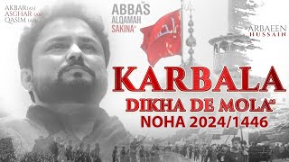 Karbala Dekha De Mola  Syed Raza Abbas Zaidi  Nohay 2024  Muharram 1446  2024  Karbala [upl. by Mandy]