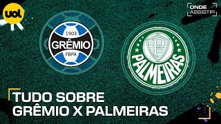 GRÊMIO X PALMEIRAS ONDE ASSISTIR AO VIVO HORÁRIO E ESCALAÇÕES PELO BRASILEIRÃO [upl. by Htidra363]