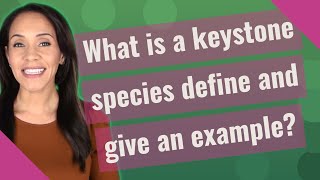 What is a keystone species define and give an example [upl. by Ruprecht128]