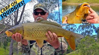 HOWTO Catch Carp On Squidgies Soft Plastics — Sight Fishing [upl. by Rodgiva651]