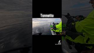 Tonnetto fishing pescao pescare fish sea kayak [upl. by Lenahs]