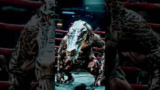 Animal Kingdom Fighter Part 4 shorts youtubeshorts viralshort [upl. by Inobe887]