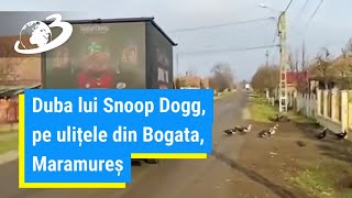 Duba lui Snoop Dogg pe ulițele din Bogata Maramureș [upl. by Osswald]