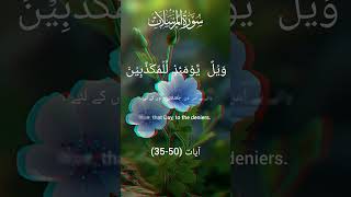 surah al musilat quran urdu tarjuma islamicstatus status quran viralvideo qurankiayatain901 [upl. by Dymphia]